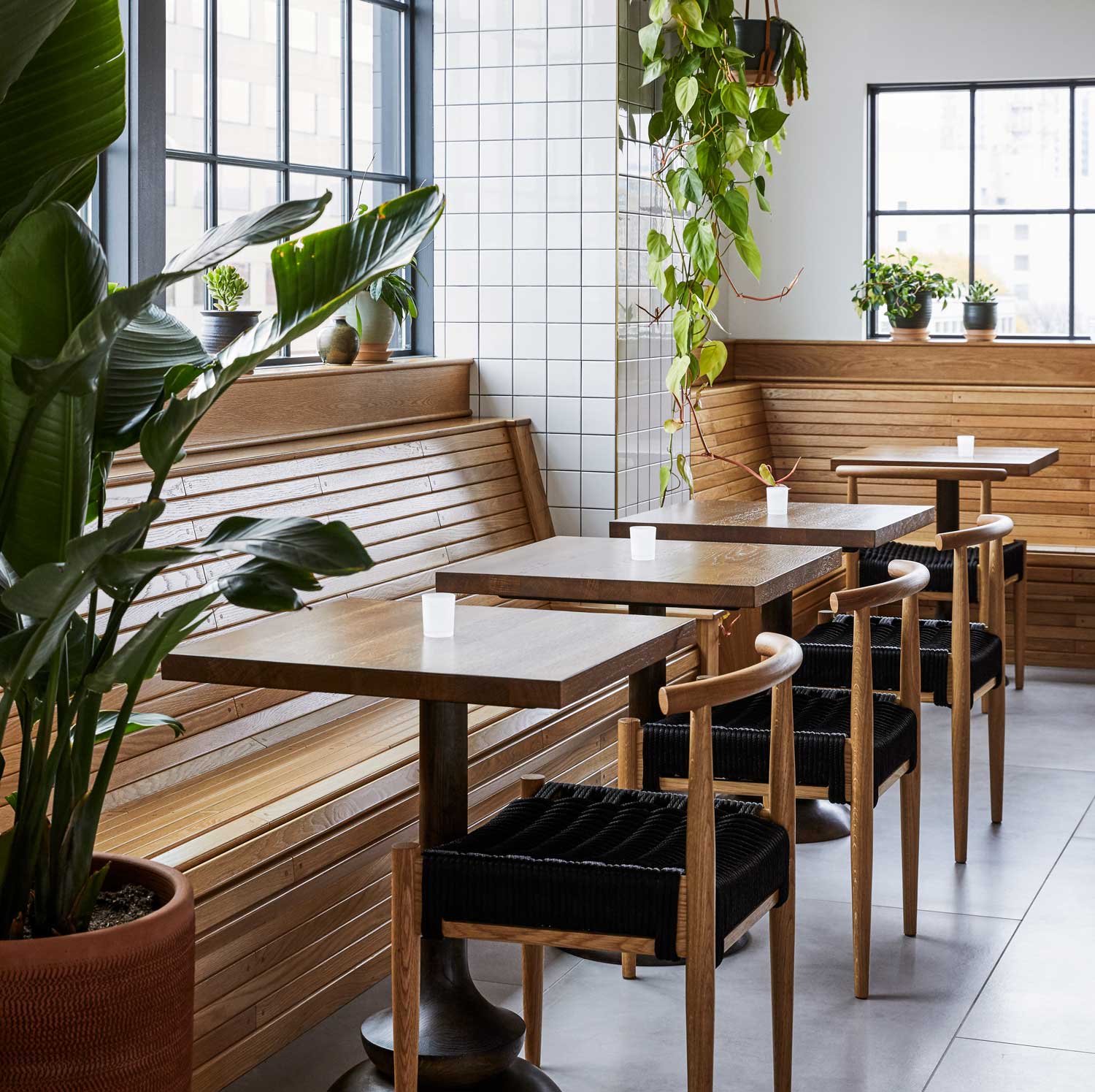 Much of the seating in the restaurant is wooden, which compliments the white tiling of the walls