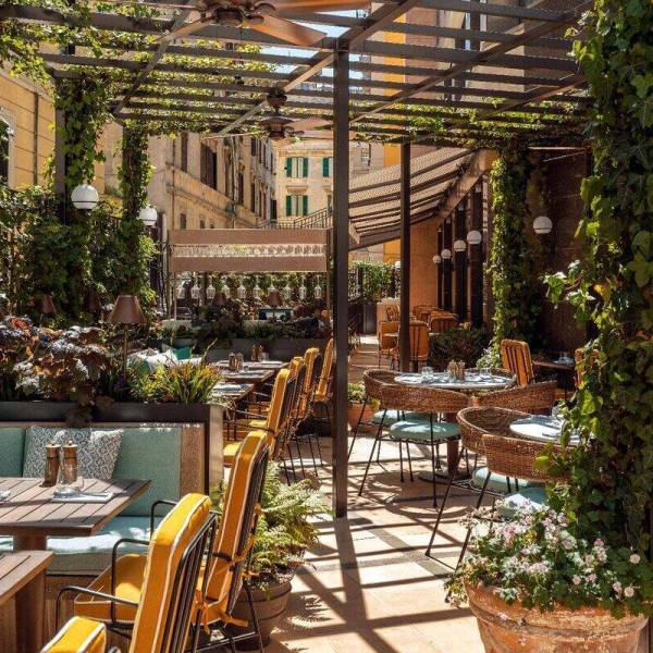 Sunny outside terrace with many plants and seating options