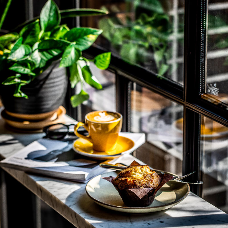 A muffin and latte served on a window sill beside a green leafy plant