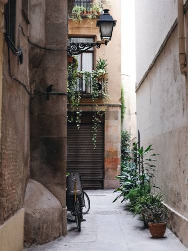 Secluded courtyard with plants and a bike parked outside a building in Barcelona