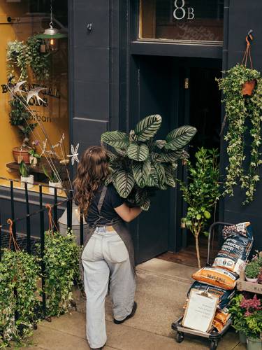 store entrance of the Grow Urban, with a person holding a plant.