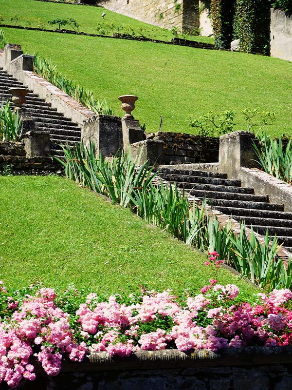 Stone steps ascending, surrounded by lush garden foliage - Gardini Bardini