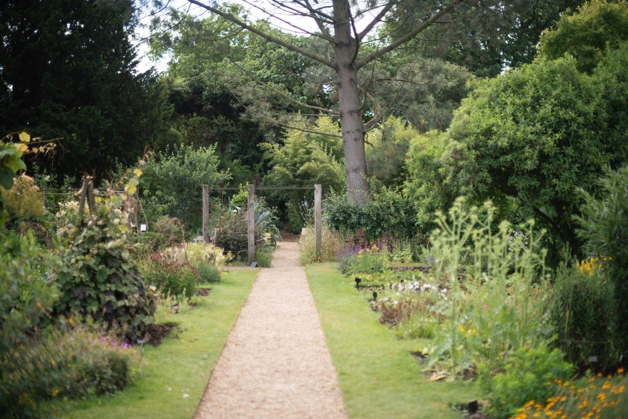 Chelsea Garden - The Localist, Hoxton Hotels.